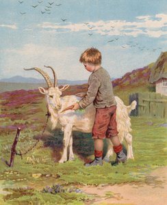 Junger Junge füttert eine Ziege auf einem Bauernhof mit einer Karotte