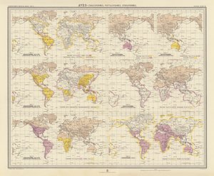 Zoogeographie: Aves, Rackenvögel, Papageienvögel, Eulen von English School