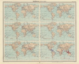 Zoogeographie: Säugetiere, Cetacea, Sirenia von English School