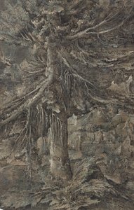 Die große Tanne. Berglandschaft mit befestigter Stadt und Festung, eine große Tanne im Vordergrund
