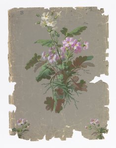 Seitenwand