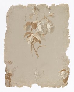 Seitenwand von Ericson and Weiss
