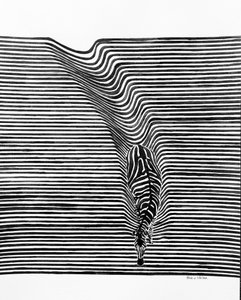 Zebra-Optische Täuschung von Erik Van Velzen