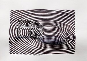 Zebra-Vortex-Täuschung von Erik Van Velzen
