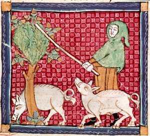 September: Schweine fressen Eicheln (Miniatur aus „Breviaire d