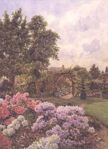 Rhododendren