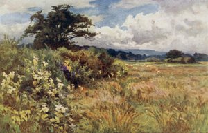 Erhöhtes Gelände von Ernest Benger or Berenger