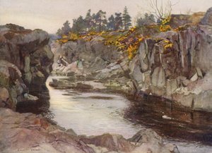 Die Schlucht unterhalb des Linn von Ernest Edward Briggs