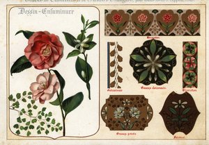 Bilder von Kamelien und Orangenblüten aus Manuskripten von Ernest Guillot