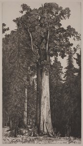 General Sherman von Ernest Haskell