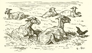 Der Adler und die Krähe