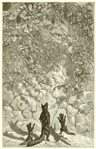 Der Fuchs und die Trauben von Ernest Henry Griset