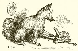 Der Fuchs und die Maske