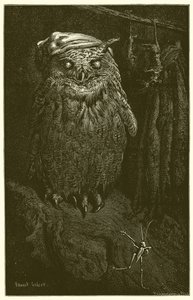 Die Eule und die Heuschrecke von Ernest Henry Griset