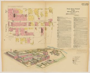 Grays Ferry Chemical Works, Grays Ferry Rd. (Nordseite) zwischen Vierunddreißigster St. und Sechsunddreißigster St., Hexamer General Surveys, 1888