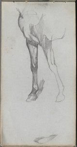 Skizzenbuch, Seite 66: Studie eines Pferdes von Ernest Meissonier