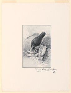 Der Griff einer Porzellantasse, das Juwel der Sammlung