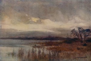 Hickling Broad von Ernest William Haslehust