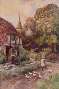 Papist Wixford von Ernest William Haslehust