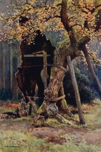 Robin Hoods Vorratskammer