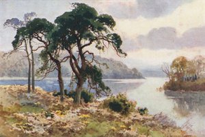 Virginia Water von Ernest William Haslehust