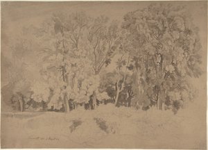 Waldrand bei Frascati von Ernst Fries