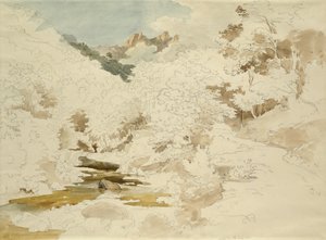 Wald bei Massa von Ernst Fries