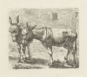 Zwei Esel von Ernst Ludwig Creite
