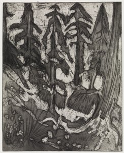 Bergwald