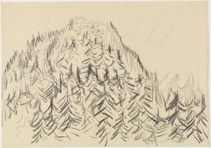 Bewaldeter Hügel von Ernst Ludwig Kirchner