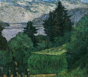 Ausblick am See von Ernst Riederer