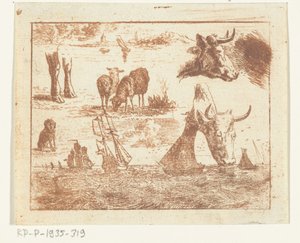 Studienblatt mit einer Meeresansicht, zwei Kuhköpfen, Schafen, einem Hund und zwei Pfoten von Ernst Willem Jan Bagelaar