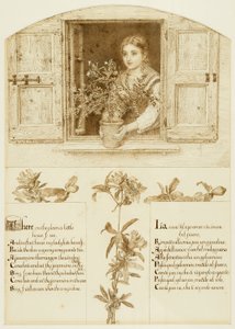 Das Jessamine-Fenster, Zeichnung zu 