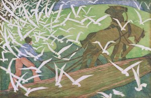 Vögel folgen einem Pflug von Ethel Spowers