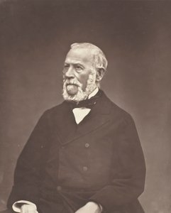 Henri Martin, ca. 1876 von Etienne Carjat