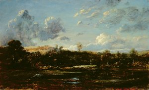 In den Landes von Etienne and Dupre Jules  Rousseau