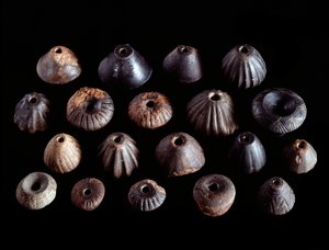 Etruskische Zivilisation: Terrakotta-Fusaioli aus Grab 1 von San Cerbone, Populonia - 7. Jahrhundert v. Chr. von Etruscan