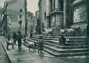 Ziegen auf den Stufen der Kathedrale, Palermo, Sizilien, Italien, 1927