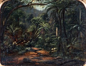 Ferntree Gully in den Dandenong Ranges