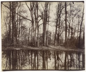 Saint-Cloud (Gärten des Schlosses von Philippe, Herzog von Orléans) von Eugène Atget
