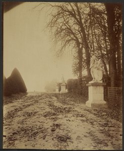 Versailles, der Park (Allee im Park von Versailles) von Eugène Atget