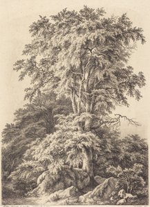 Buchenhain von Eugene Bléry
