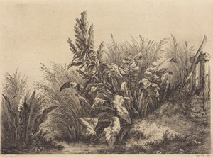 Wasserampfer von Eugene Bléry