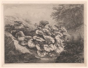 Großes Huflattich von Eugene Bléry