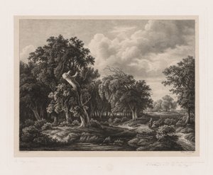 Gruppen verschiedener Pflanzen nach der Natur gezeichnet: Nr. 7, 1855 von Eugene Bléry