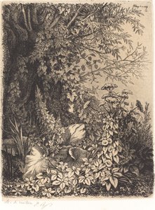 Die Klette mit Weide, veröffentlicht 1849 von Eugene Bléry