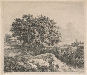 Die Eiche am Abgrund (Eiche am Abgrund)
