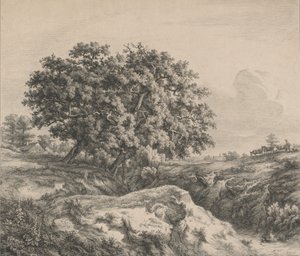 Die Eiche am Abgrund