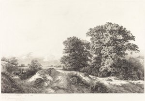 Eichen im Vaux de Cernay von Eugene Bléry