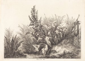 Geduld des Wassers, Studie eines Geduld-Docks, 1840 von Eugene Bléry